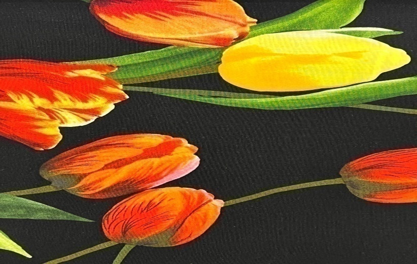 Tulipános — anyagminta
